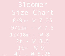 Load image into Gallery viewer, Pink Gingham Bloomer
